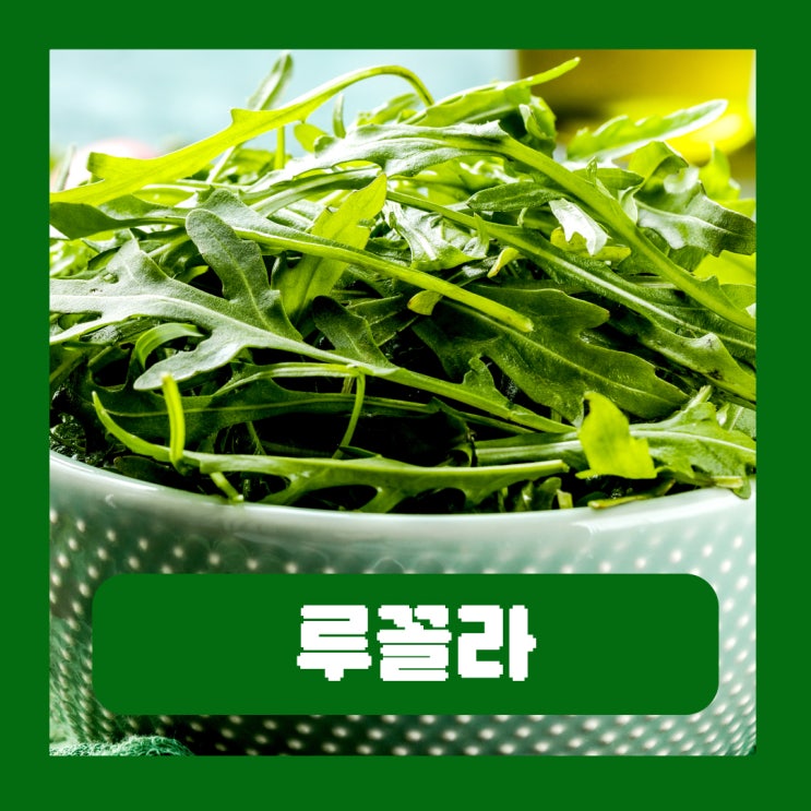  루꼴라 효능 부작용 와일드 로케트 종류 차이 요리