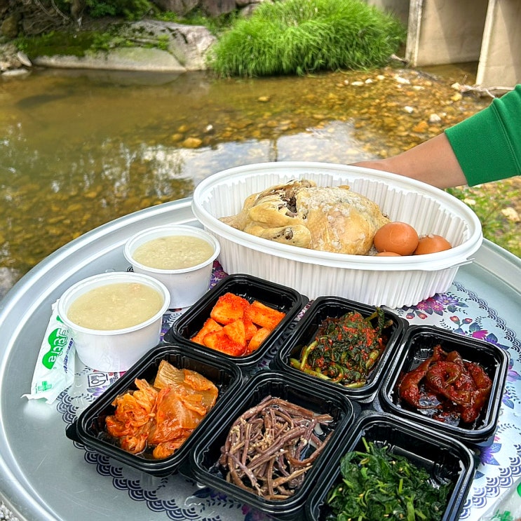  [경남 거창 맛집] 계곡과 수영장이 있어 물놀이도 즐기고, 맛있는 백숙도 즐길 수 있는 1석2조 맛집 추천, 월성계곡산장