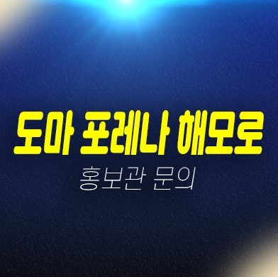 도마 포레나해모로 대전 일반분양아파트 명문학군 미분양세대 줍줍 분양홍보관 도마 포레나해모로 대전 일반분양아파트 명문학군 미분양세대 줍줍 분양홍보관