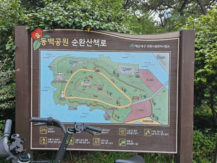  동백섬 주차장 출렁다리 누리마루까지 둘레길 순환 산책로