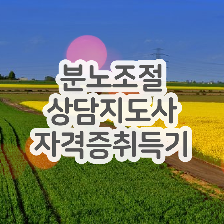  분노조절상담지도사 , 분노조절상담지도사자격증 준비 과정 및 학습방법