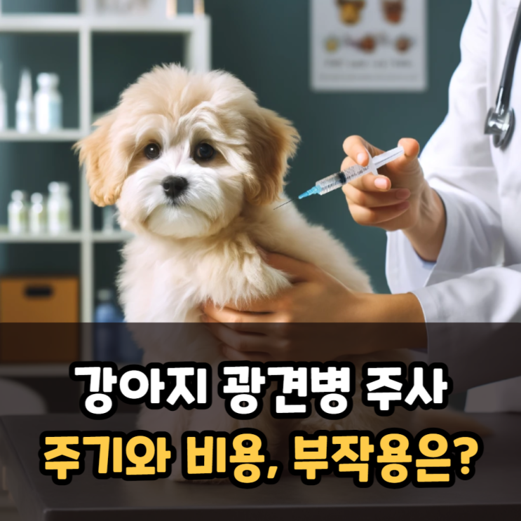  강아지 광견병 주사 주기와 비용 주의해야 할 부작용은?