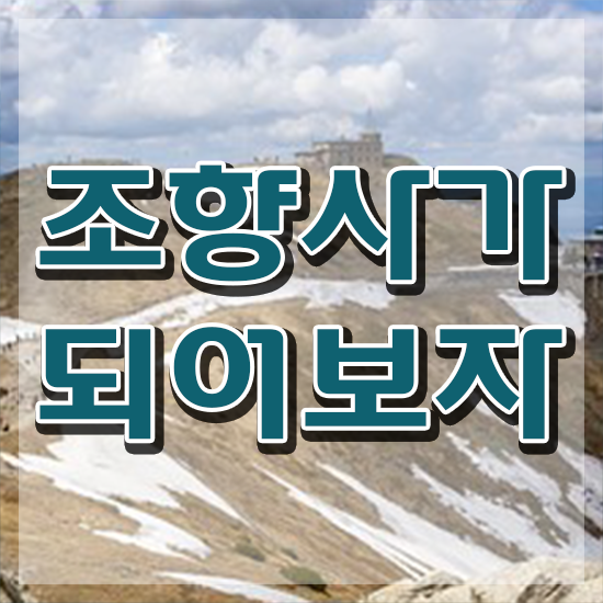  기술 자격증 추천 , 조향사 집에서 온라인으로 초단기 준비했던 방법