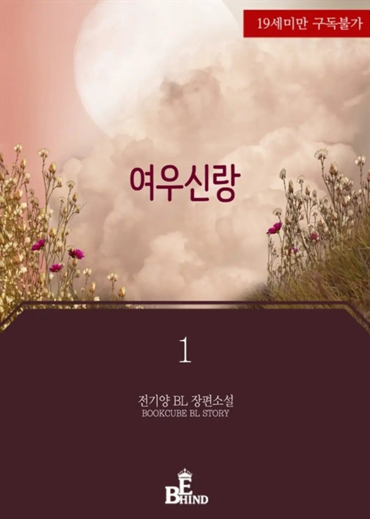 BL소설 리뷰) 전기양-여우신랑 BL소설 리뷰) 전기양-여우신랑