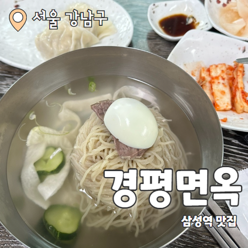  경평면옥 : 삼성역 평양냉면 블루리본 찐맛집 내돈내산 후기