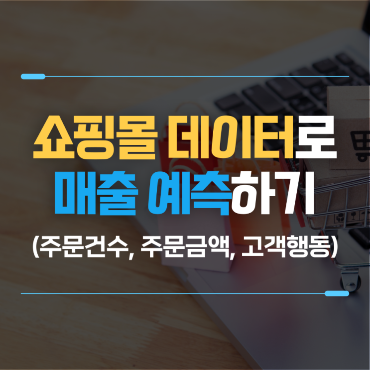  유통 데이터 분석 : 쇼핑몰 고객의 다양한 특성 분석 및 매출예측