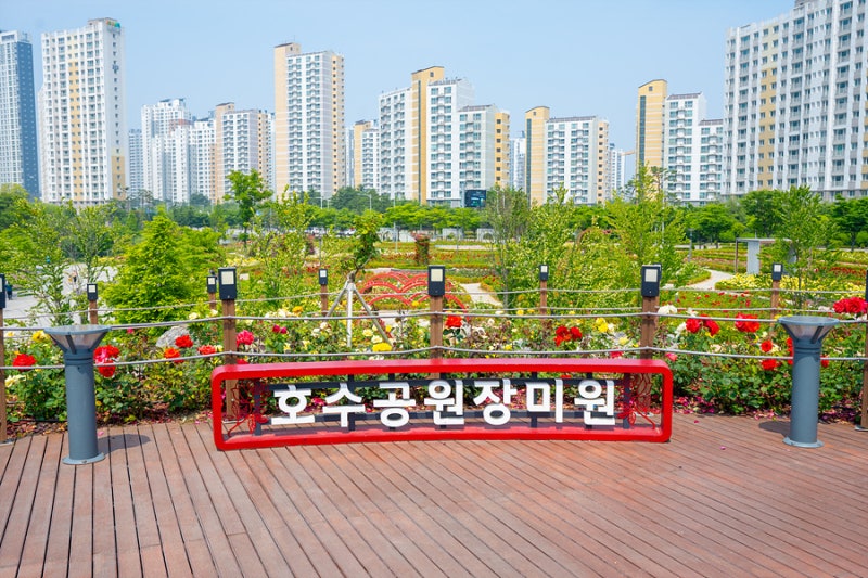 사진 3