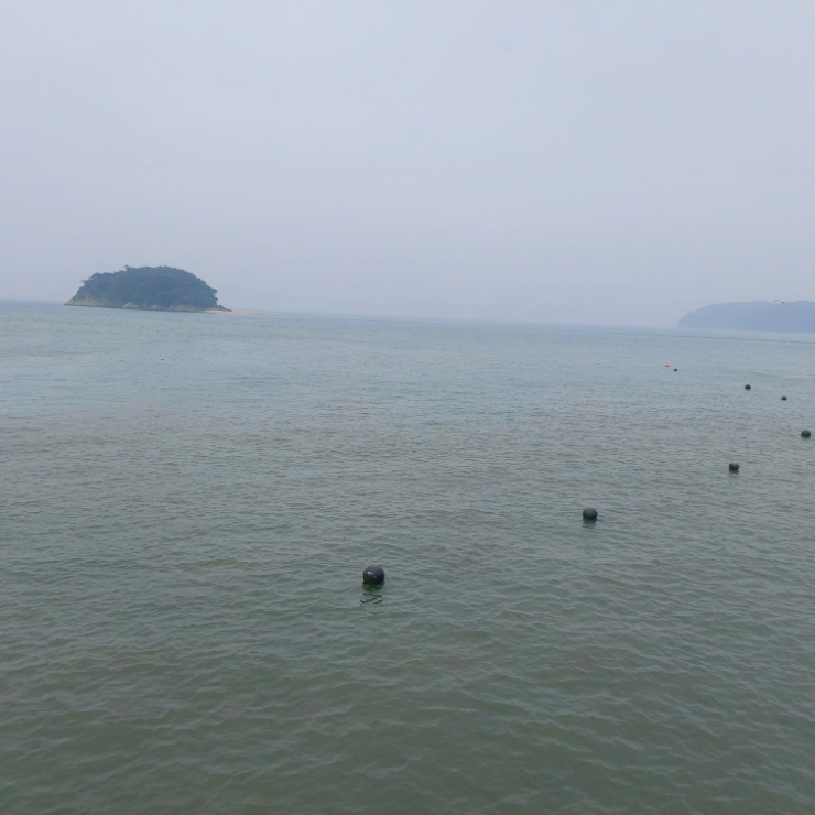  김관채 고양이탐정 후기/ (인천 무인도 산속에서 고양이 구조하기. 실시간 2탄) 구조 성공.
