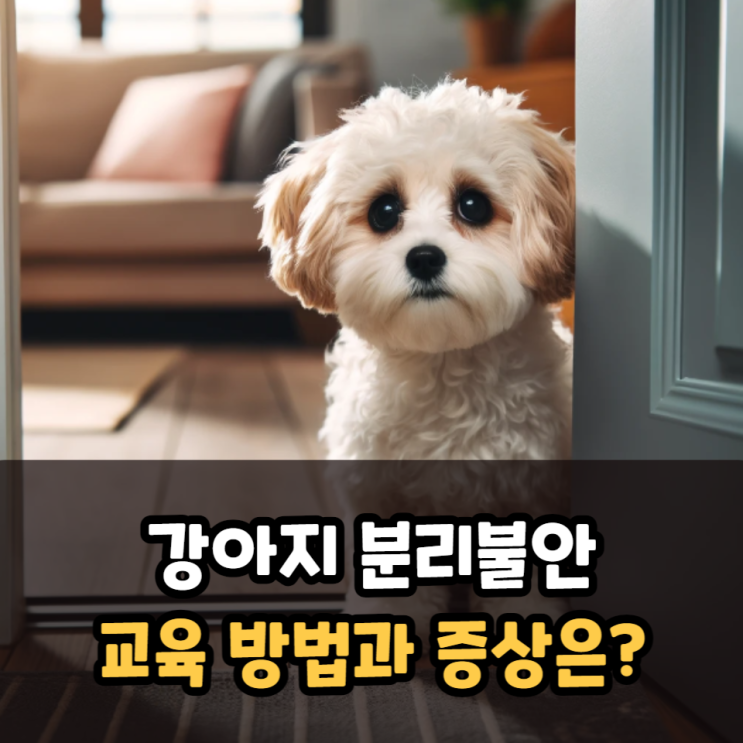  강아지 분리불안 교육 방법과 증상 알아보기