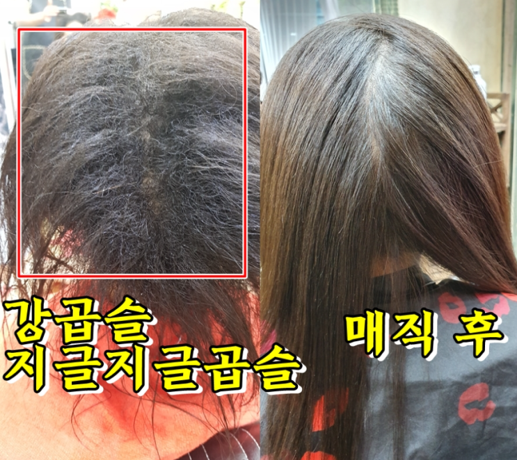  곱슬머리 매직 후기로 알려드리는 곱슬머리 종류, 전주 삼천동 미용실 마벨