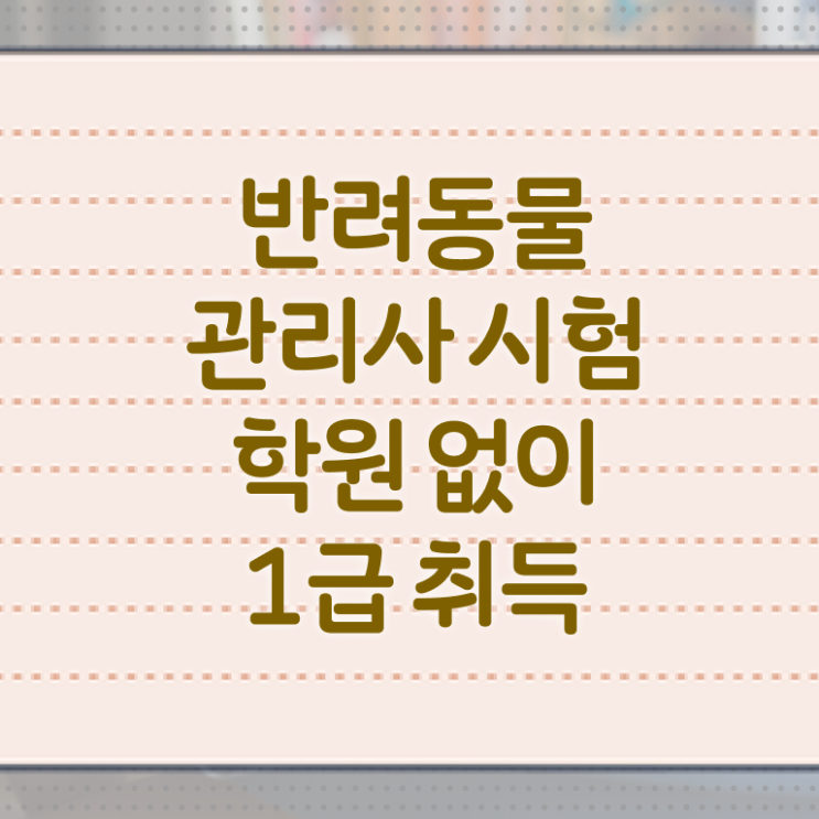  부산 반려동물 의료비 지원 , 반려동물관리사 자격증 간단하게 학습한 후기 짚어드려요