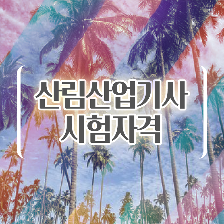  산림산업기사 필기 준비 산림산업기사 시험응시조건 학점은행제로 4개월 만에 성공한 전략