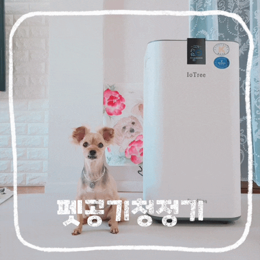  펫전용 공기청정기 아이오트리 고양이 강아지 냄새제거 후기