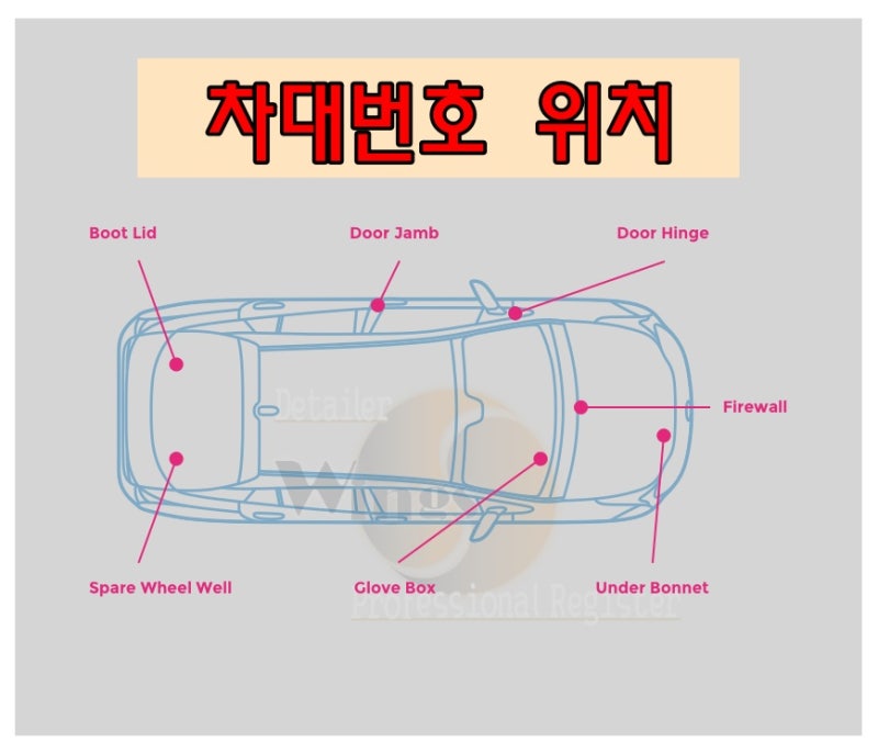 차대번호 조회 방법 BMW 벤츠 현대 기아 VIN NO 위치 확인