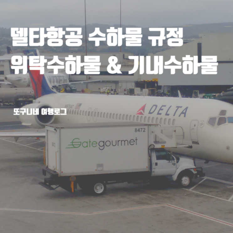  델타항공 수하물 규정 : 무료 위탁수하물 & 기내수하물