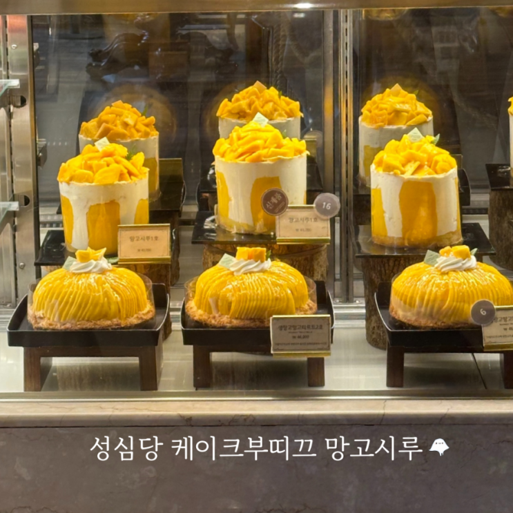  성심당 망고시루 케이크부띠끄 오픈런 웨이팅 매장별 판매 매진 시간 가격