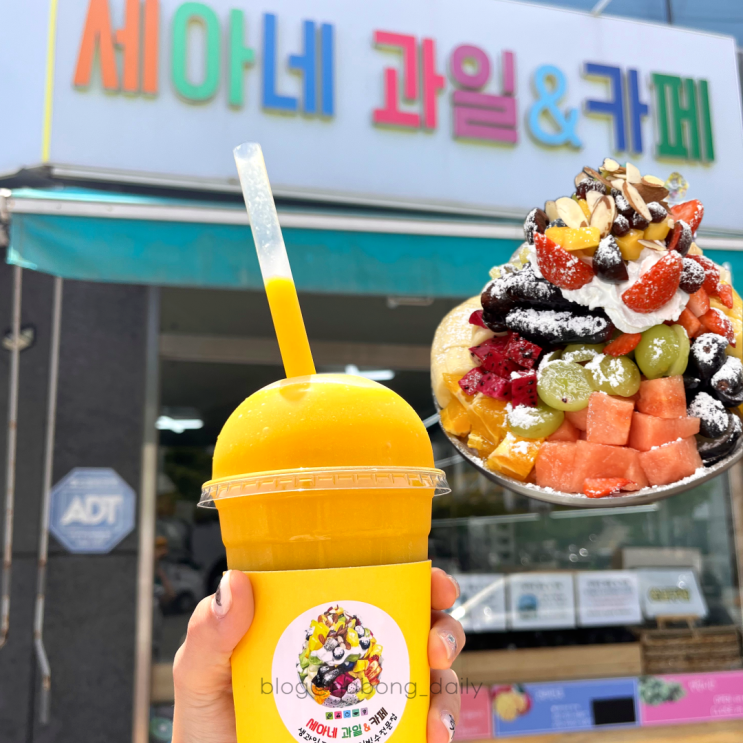  여수 세아네과일 빙수 예약방법, 생과일주스 맛있는 여수돌산카페