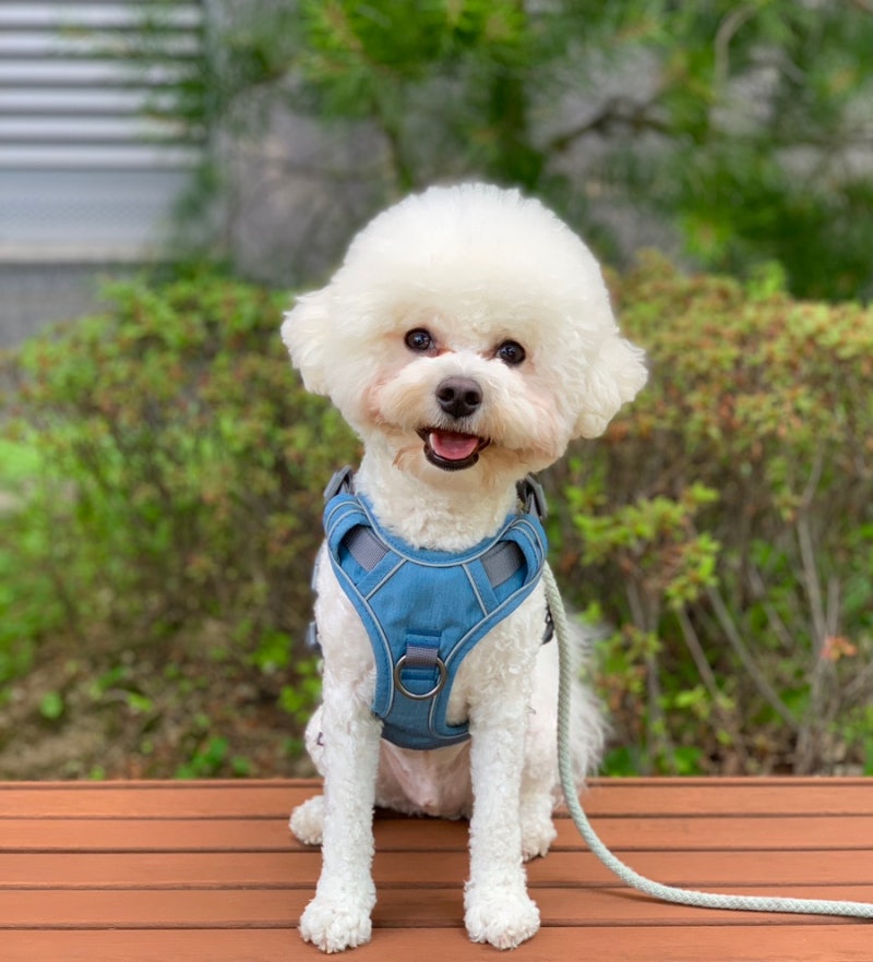 사진 6