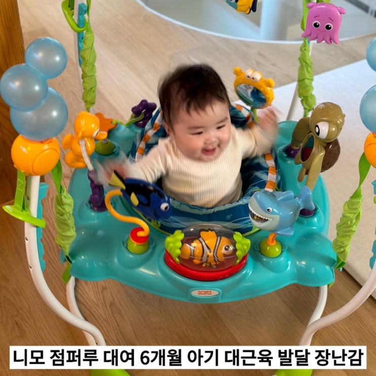  니모 점퍼루 새상품 대여, 사용시기, 6개월 아기 대근육 발달 장난감