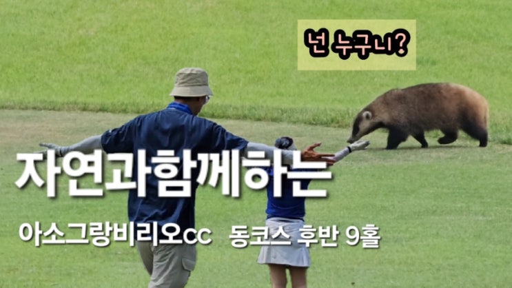 골프장 : 오소리같은 자연과 함께하는 골프라운드 아소그랑비리오cc 동코스 후반 9홀 상세설명 골프장 : 오소리같은 자연과 함께하는 골프라운드 아소그랑비리오cc 동코스 후반 9홀 상세설명
