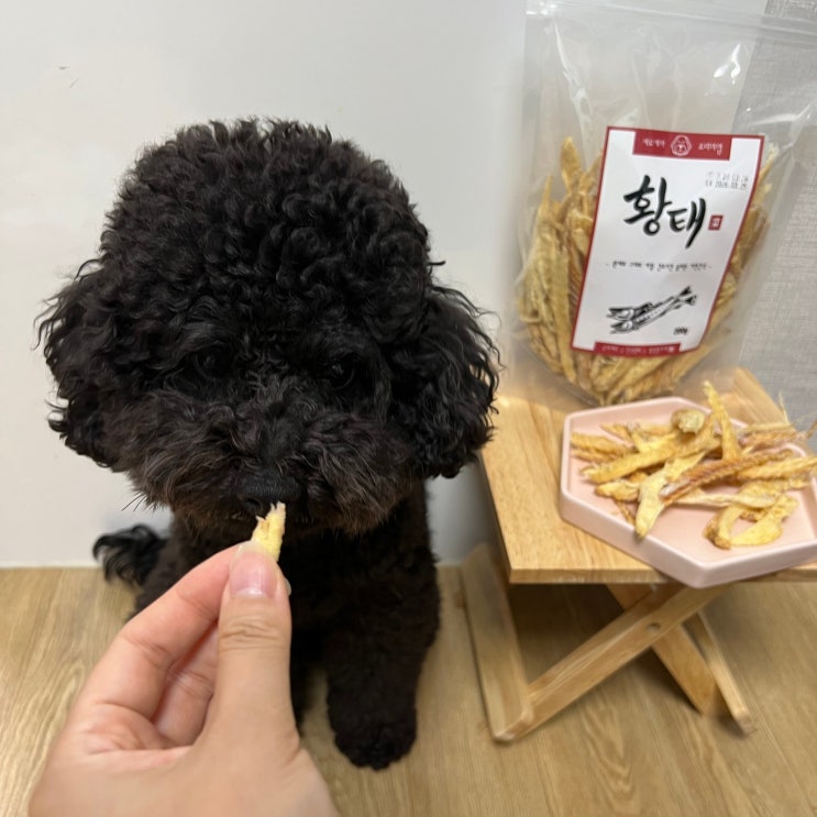  강아지 황태채 제로케어 반려견 영양식 추천