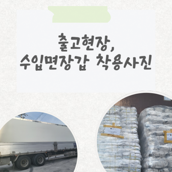  온봄산업 제품 출고 현장, 수입면장갑 6종 착용 사진