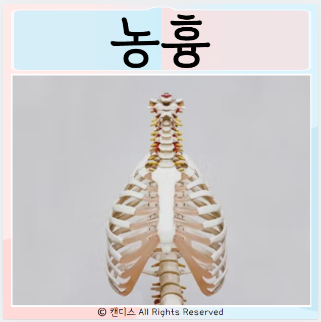  폐 농흉 치료 농양 증상 치료