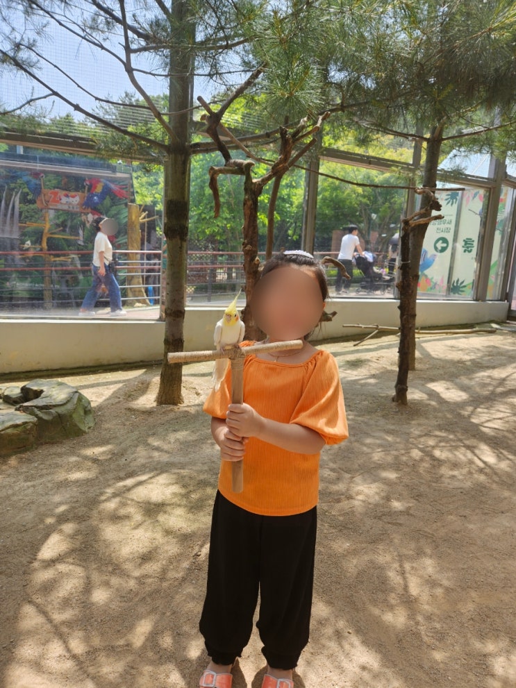  울산대공원 동물원과 놀이터 야외키즈카페 후기