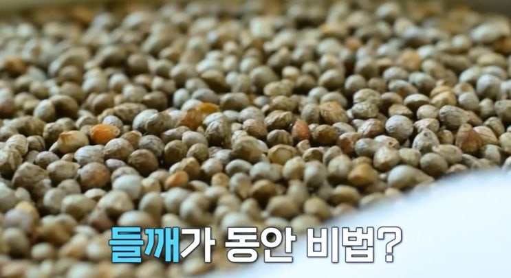  들깨우유 효능 피부혈관탱탱동안비법 들깨우유 만드는법 엄지의제왕 고지혈증예방 총콜레스테롤낮추는 불포화지방산풍부한식품594회