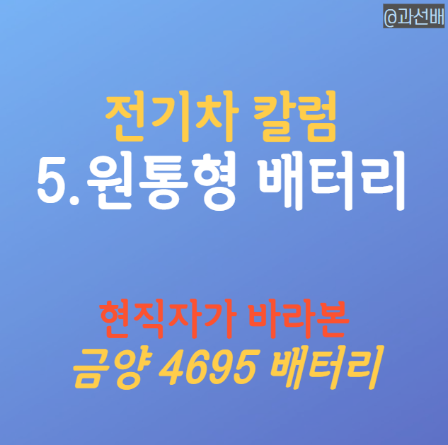  현직자가 바라본 금양 주가 전망 (ft. 4695 배터리)