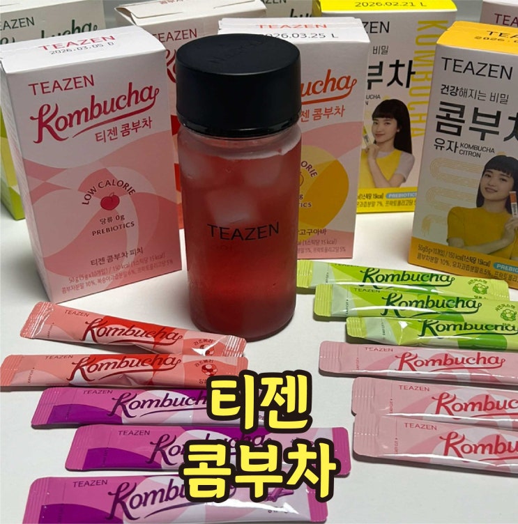  티젠 콤부차 맛 추천 칼로리 카페인 솔직후기