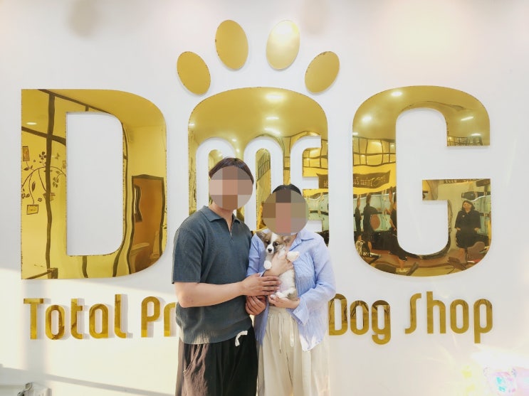  웰시코기 매력에 푹 빠진 청주고객님 /세종 강아지분양 세종시 애견샵