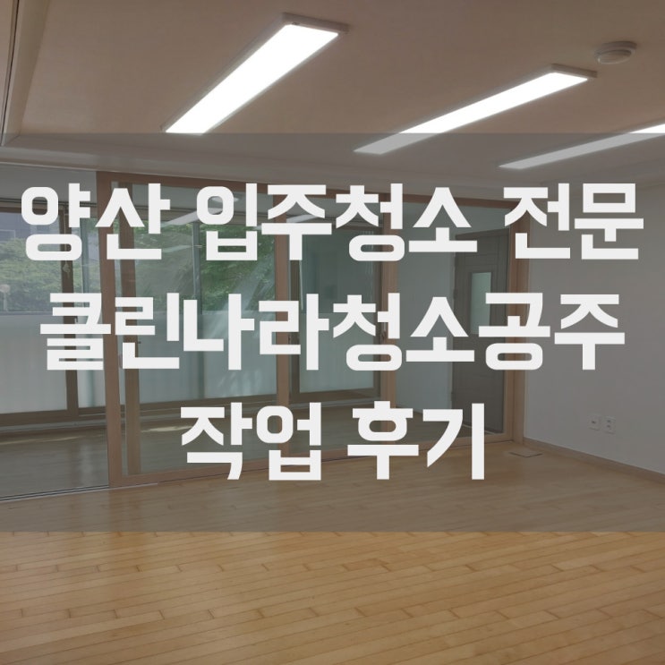  양산 입주청소 부산 울산 경남 이사청소 맛집 추천