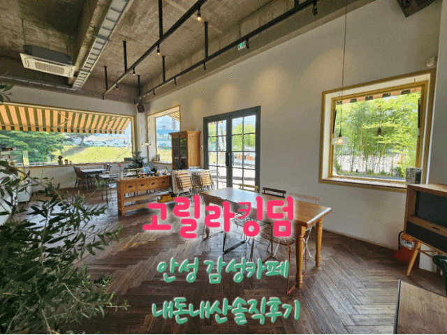  고릴라킹덤 안성감성카페 내돈내산솔직후기