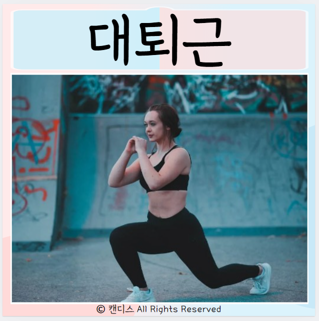  대퇴근 중요성 스트레칭 운동 스쿼트