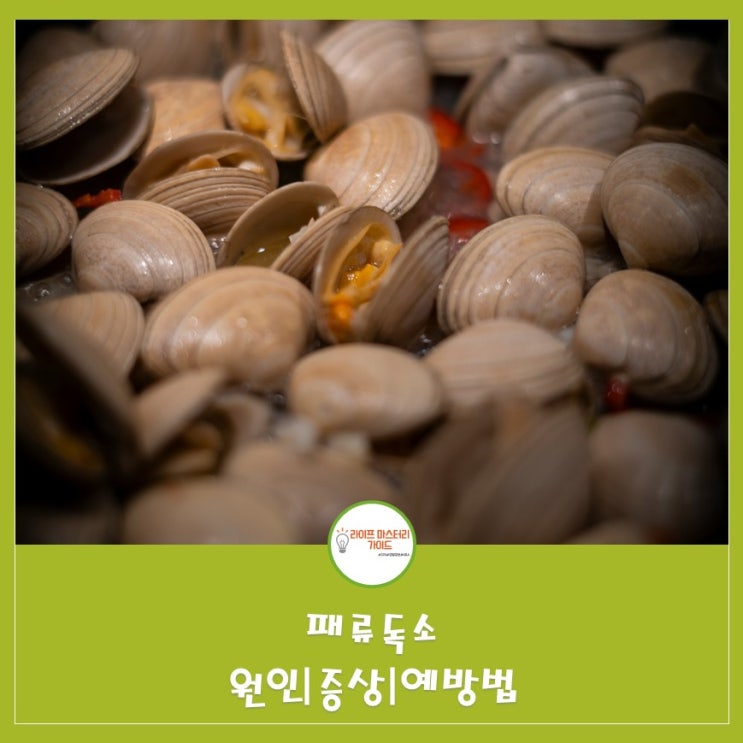  패류독소 원인과 증상 주의사항 알아보기