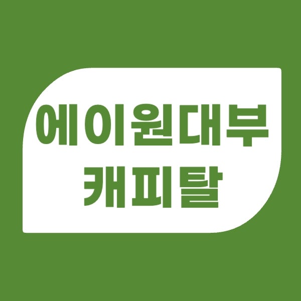 에이원대부캐피탈 대출상품 및 부결 시 대안상품 안내