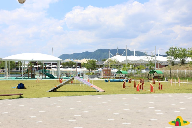 사진 2