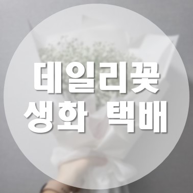  데일리꽃에서 택배로 안개꽃 꽃다발 1/4단 구매 내돈내산 후기