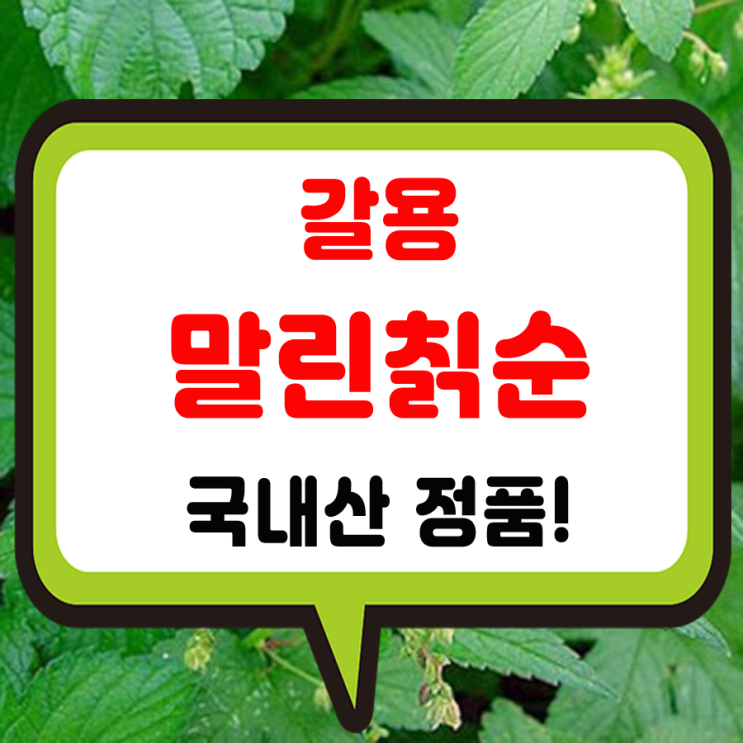 국내산 칡순 효능과 마른 칙순 건재 차로 먹는법 갈용 효소 담그기 부작용 권장 섭취량