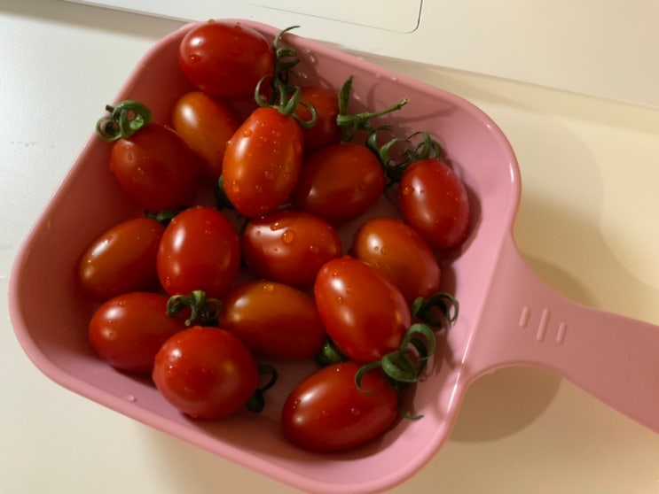  방울토마토 추천 아이부터 어른까지, 모두가 좋아하는 충남공주 한청년 농산물 대추 방울토마토