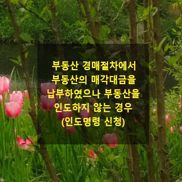  부동산 경매절차에서 부동산의 매각대금을 납부하였으나 전소유자 등이 부동산을 인도하지 않는 경우(인도명령 신청)