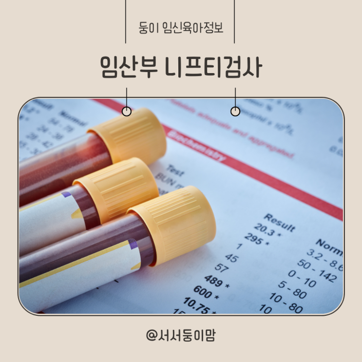  임산부 니프티검사 비용 시기 결과 정확도