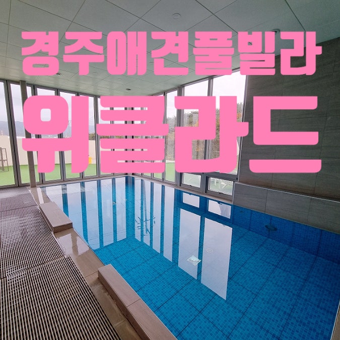 사진 2