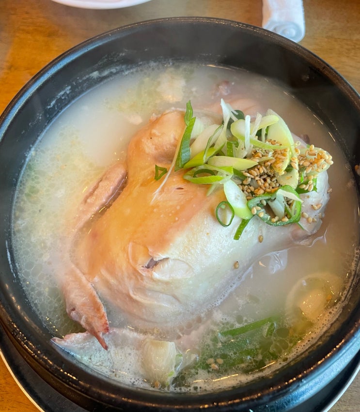  복날에 먹기 좋은 삼계탕집 청주 청송통닭 좋았던 점과 아쉬웠던 점