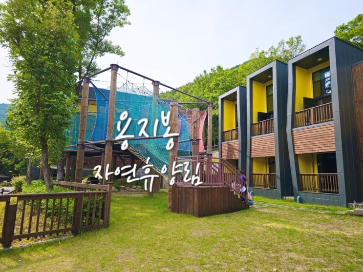  경남 아이랑 김해 용지봉자연휴양림 숲속의집 계곡 야외놀이터까지
