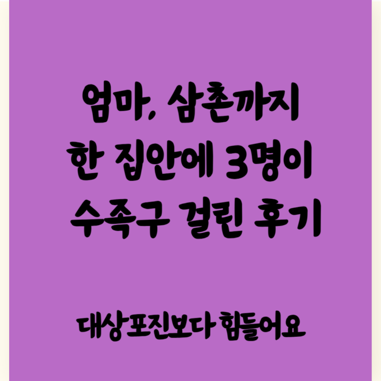  성인 수족구 증상 전염 어른 병원 후기
