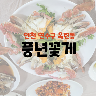  [인천 연수구 옥련동] 풍년꽃게 (내돈내산)