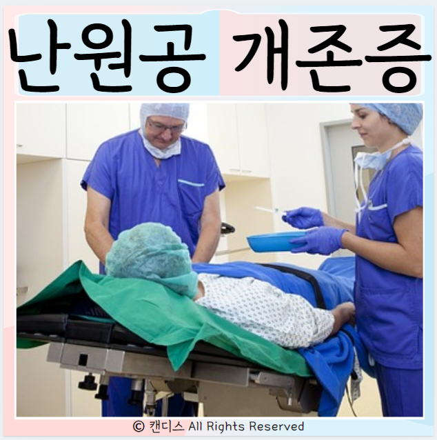  난원공 개존증 원인 진단 치료 증상