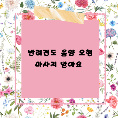  반려견도 음양오행 마사지 받아요